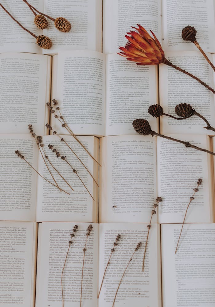 pexels photo 3368816 Delicate dried flowers and foliage on open books create a serene and artistic composition.